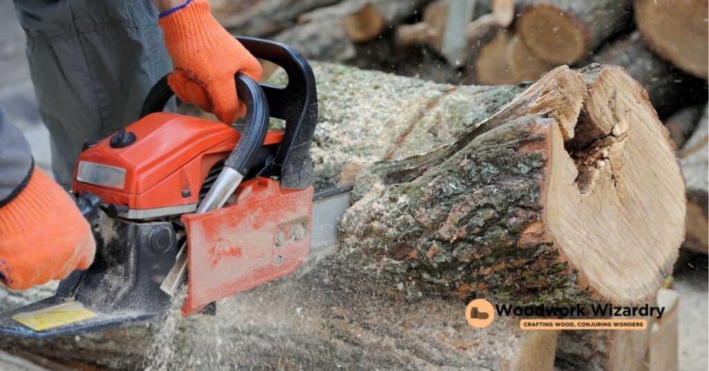 Selecting the Right Electric Chainsaw for Tree Cutting