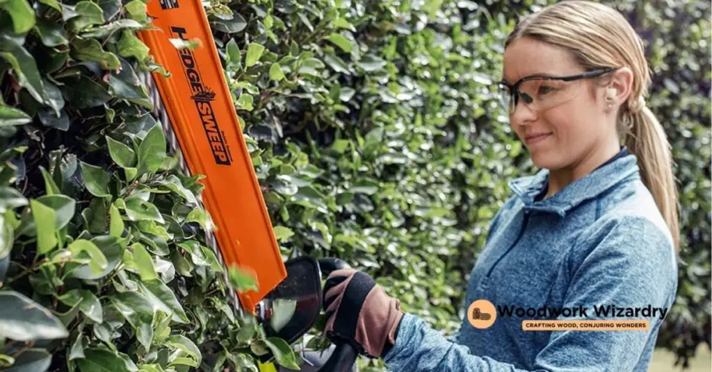 Step by Step Guide How to Cut a Hedge With a Chainsaw