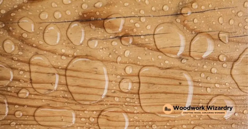 Understanding Plywood and Waterproofing