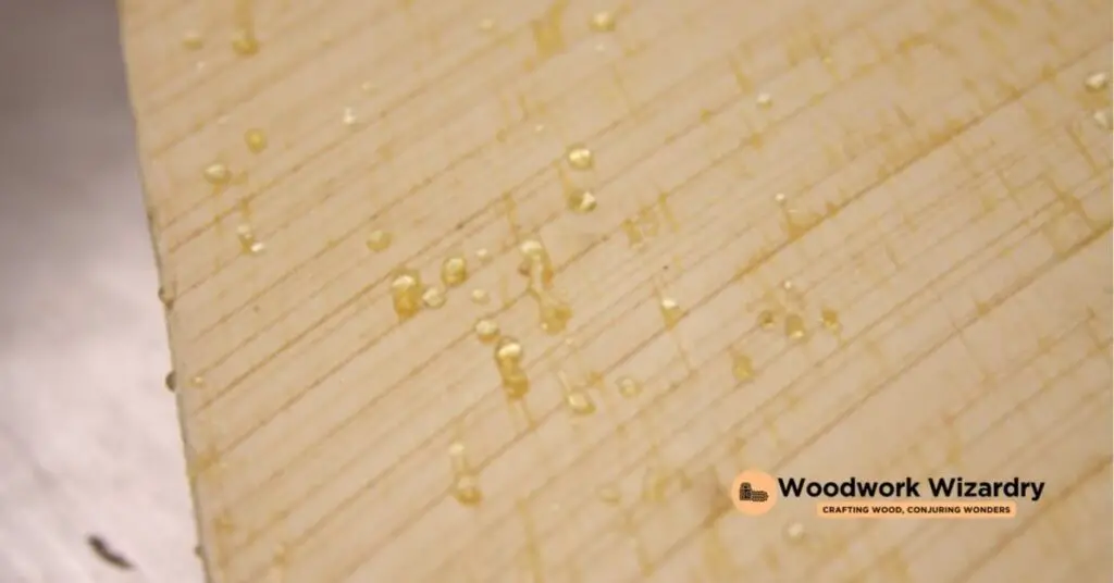 Understanding Sap in Wood