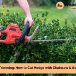 how to cut hedge with chainsaw