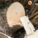 how to keep green wood from splitting