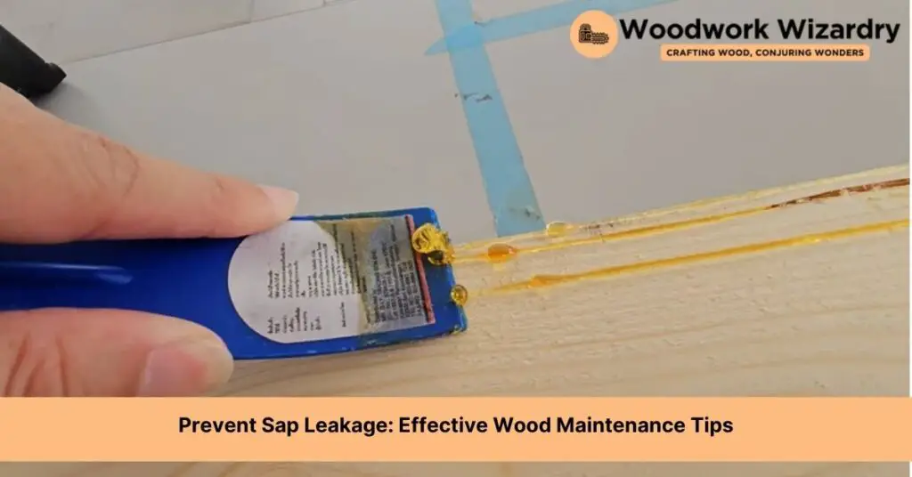 how to stop sap from coming out of wood