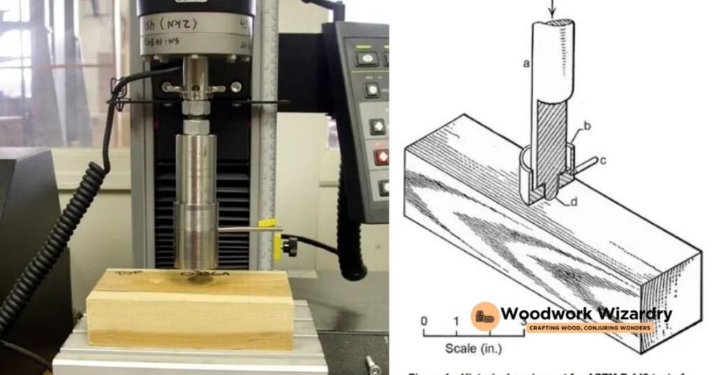 How The Janka Hardness Test Works