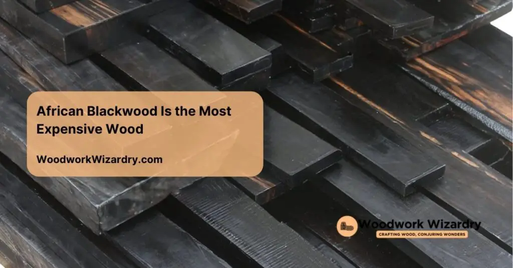 african blackwood the most expensive wood