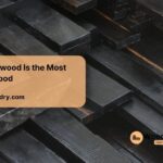 african blackwood the most expensive wood