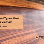 african wood types are most imported to vietnam