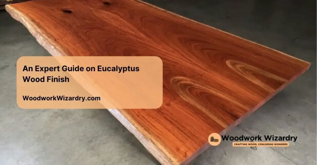 an expert guide on eucalyptus wood finish
