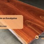 an expert guide on eucalyptus wood finish