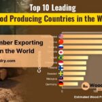 largest timber exporting countries in the world