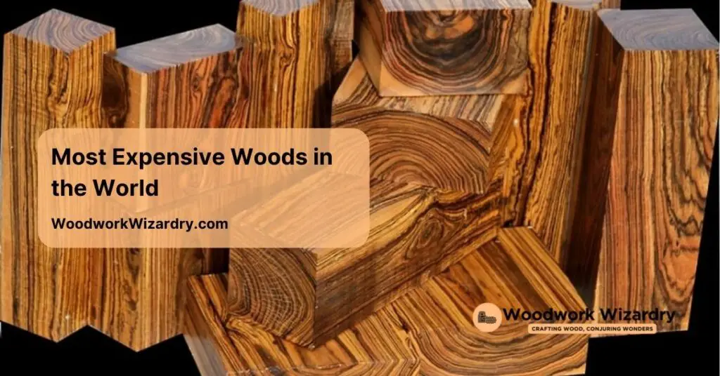 most expensive woods in the world