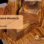 most expensive woods in the world