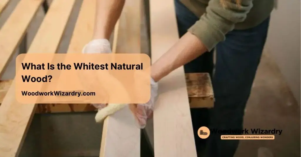 what is the whitest natural wood