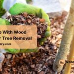 what to do with wood chips after tree removal