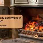 Can You Really Burn Wood in a Coal Stove